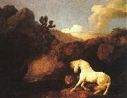 George Stubbs A Horse Frightened by a Lion oil painting